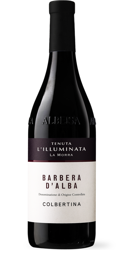 Colbertina